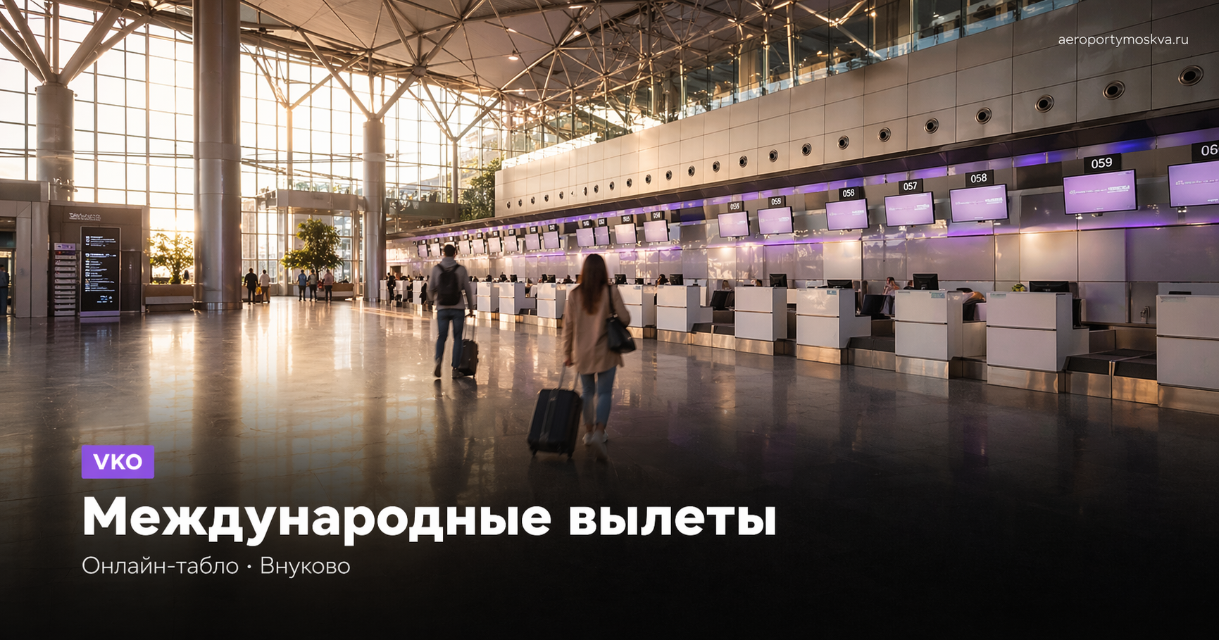Внуково предупредило пассажиров о затяжных задержках рейсов